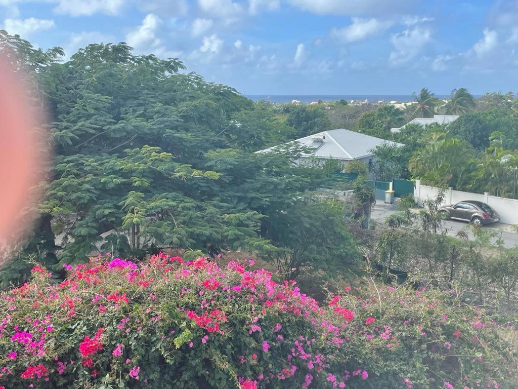 Villa Ste Marthe Avec Piscine, Grande Terrasse, Jardin Intime Et Citerne D'Eau 생프랑수아 외부 사진